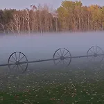 Waldpension Gussow アパート Heidesee