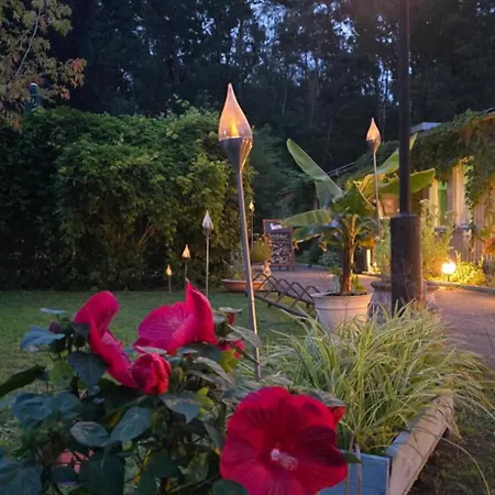 Waldpension Gussow